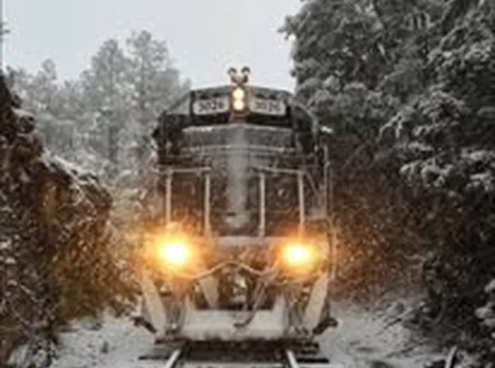 Tren turístico